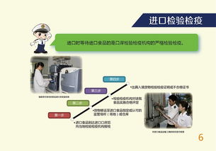 出口食品安全探秘 技术引进与风险把控的现代法则
